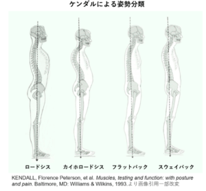 ケンダルの姿勢分類
